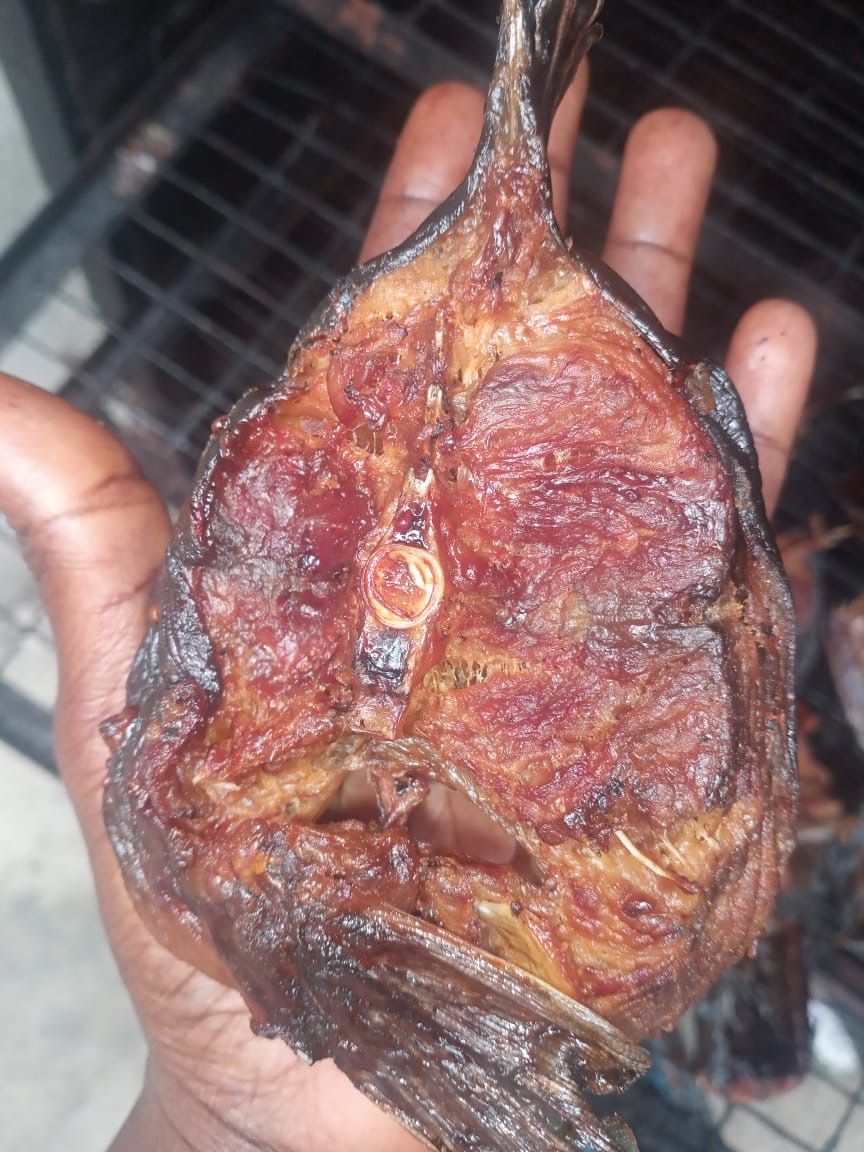 Catfish chunks - Image 4